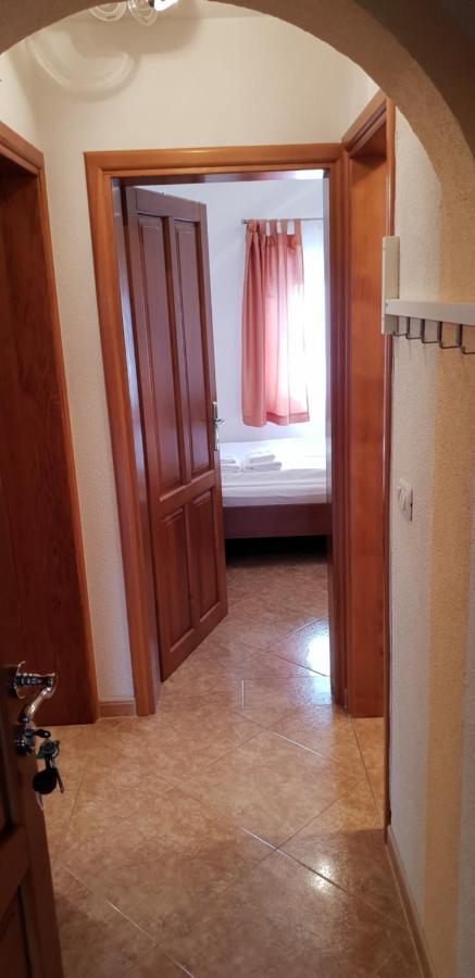 Apartmani Citrus Novigrad Filipac Dış mekan fotoğraf