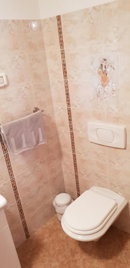 Apartmani Citrus Novigrad Filipac Dış mekan fotoğraf