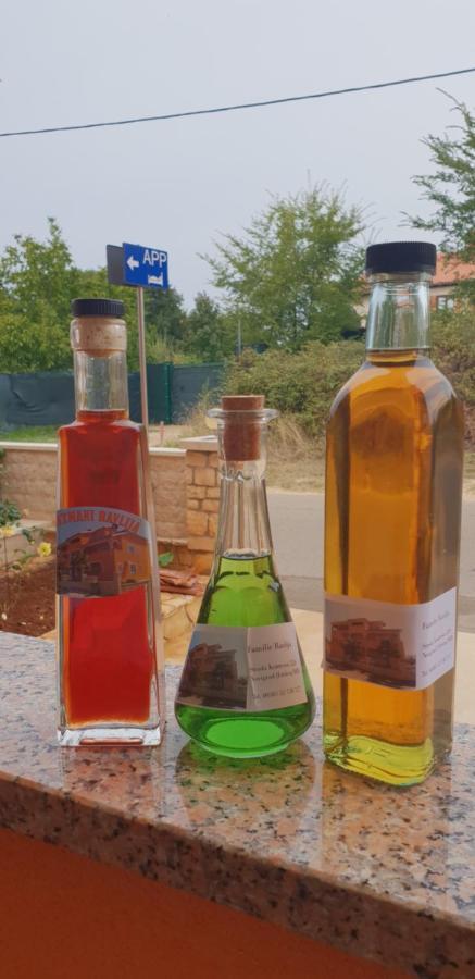 Apartmani Citrus Novigrad Filipac Dış mekan fotoğraf