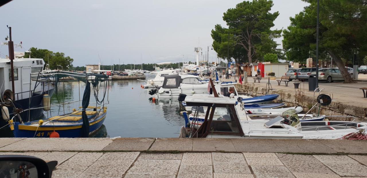 Apartmani Citrus Novigrad Filipac Dış mekan fotoğraf